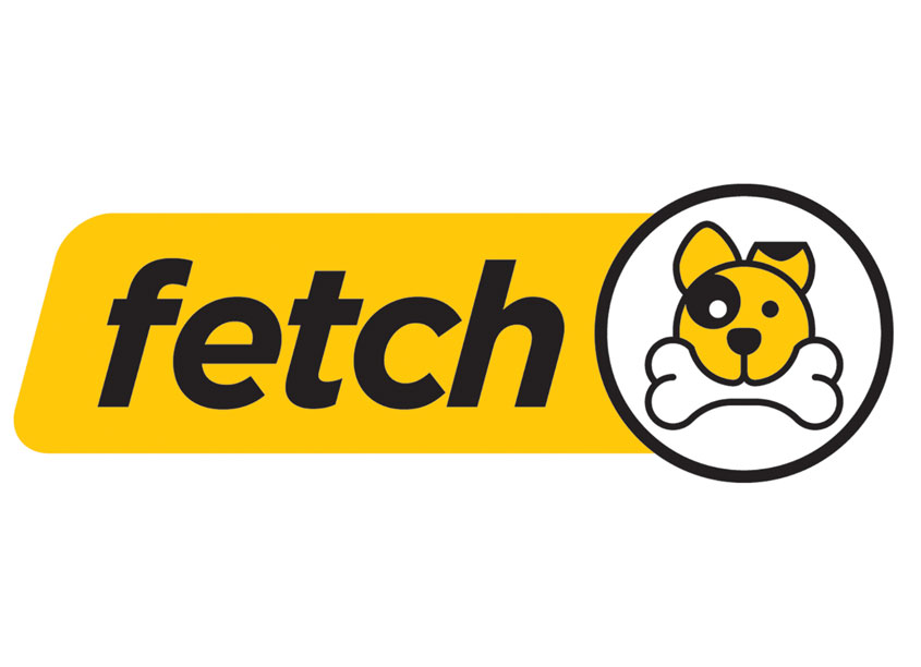 Fetch Logo - Internal IT Search Information by Stan Gellman Graphic Design