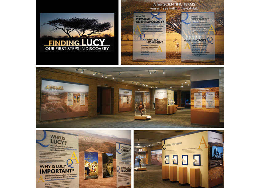 Finding Lucy Exhibit by Karen Skunta & Company