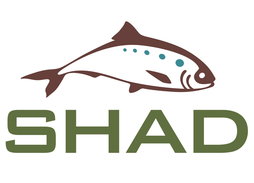 SHAD Logo Design by CSE Identity Design