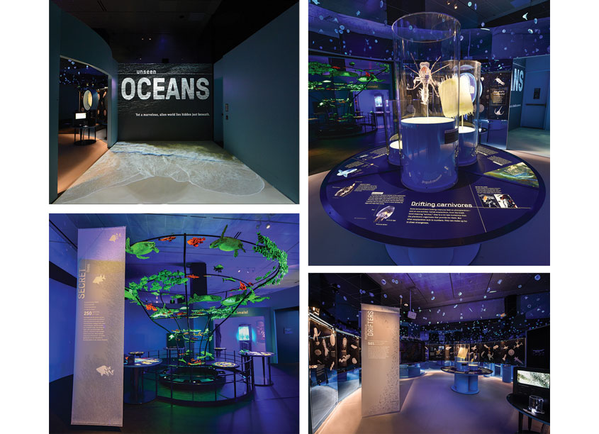 American Museum of Natural History Unseen Oceans