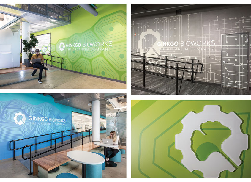 Gingko Bioworks Workplace Environmental Graphics by LLM Design, Inc.