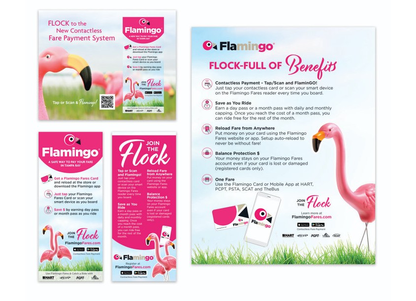 Flamingo Fares Brochure and Flyer by Hillsborough Area Regional Transit Authority (HART)