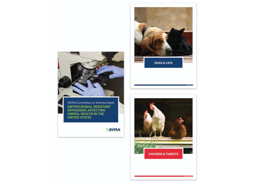 AVMA Antimicrobial Resistance Report by American Veterinary Medical Association (AVMA)