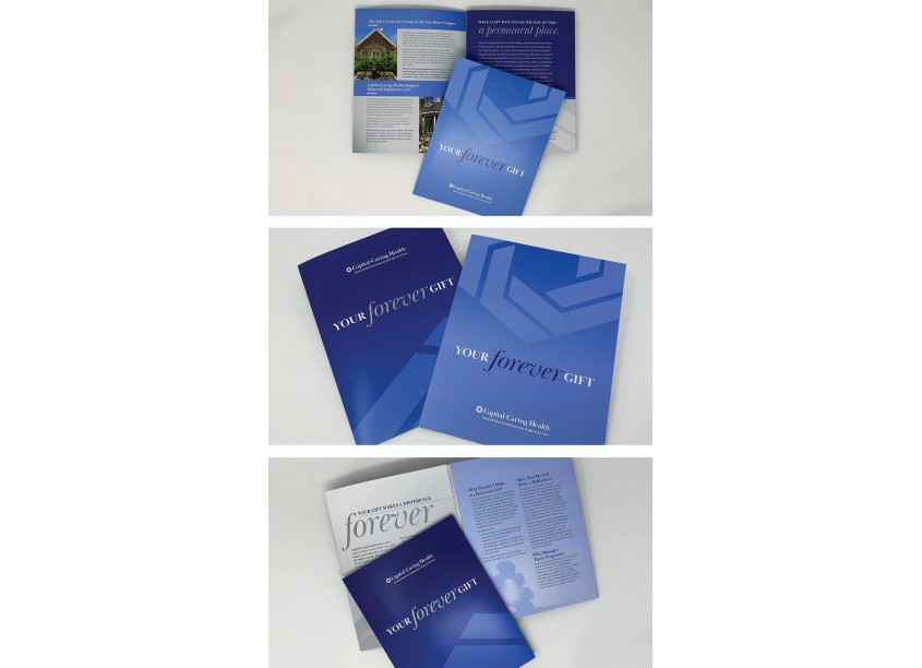 Endowment Brochures by Capizzi Designs