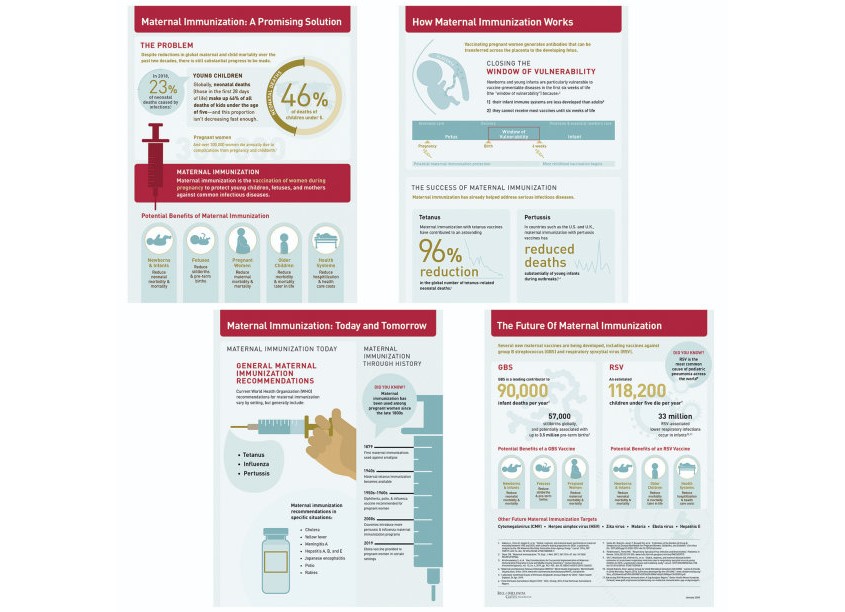 Black Graphics Maternal Immunization Infographic