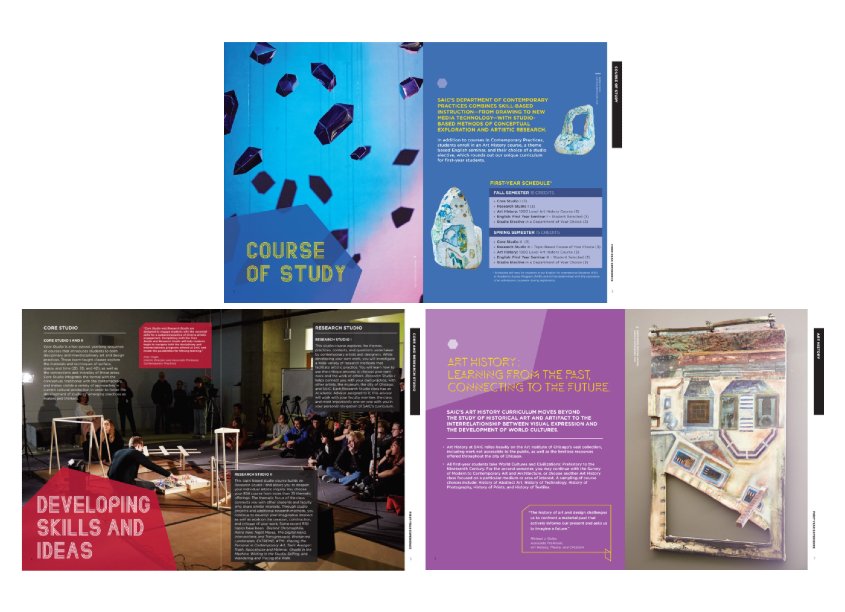 School of the Art Institute of Chicago (SAIC) Admissions Booklet - First Year Experience