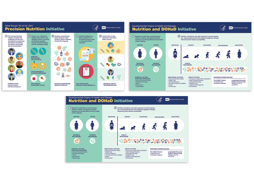 National Institutes of Health (NIH) Medical Arts Precision Nutrition Infographics