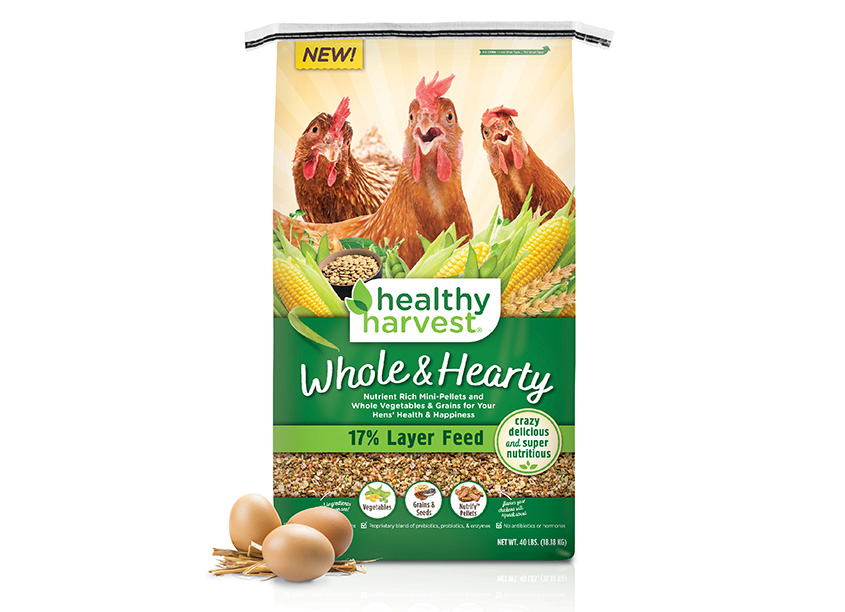 Healthy Harvest: Whole & Hearty by Truly Creative