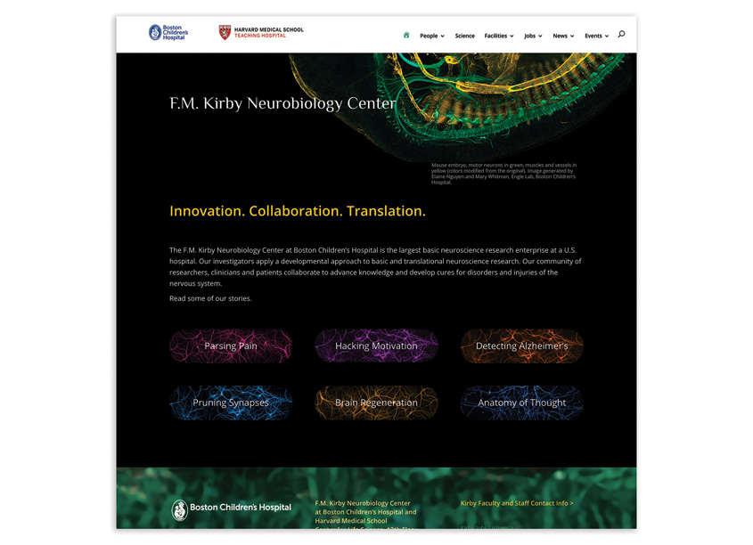 FM Kirby Neurobiology Center Website by GillFishmanDesign/Cambridge