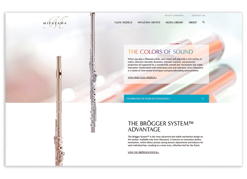 Miyazawa Website Design by Creative Mellen
