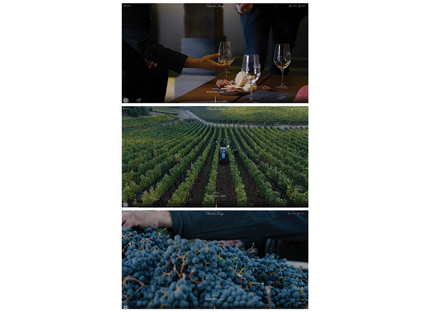 Affinity Creative Group Charles Krug – An Iconic Napa Valley Winery
