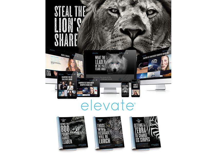 Elevate Healthcare Welcome To The Jungle Branding