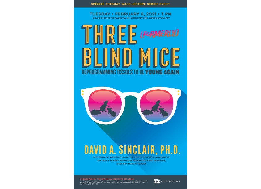 Three (Formerly) Blind Mice Poster by National Institutes of Health | NIH Medical Arts Branch