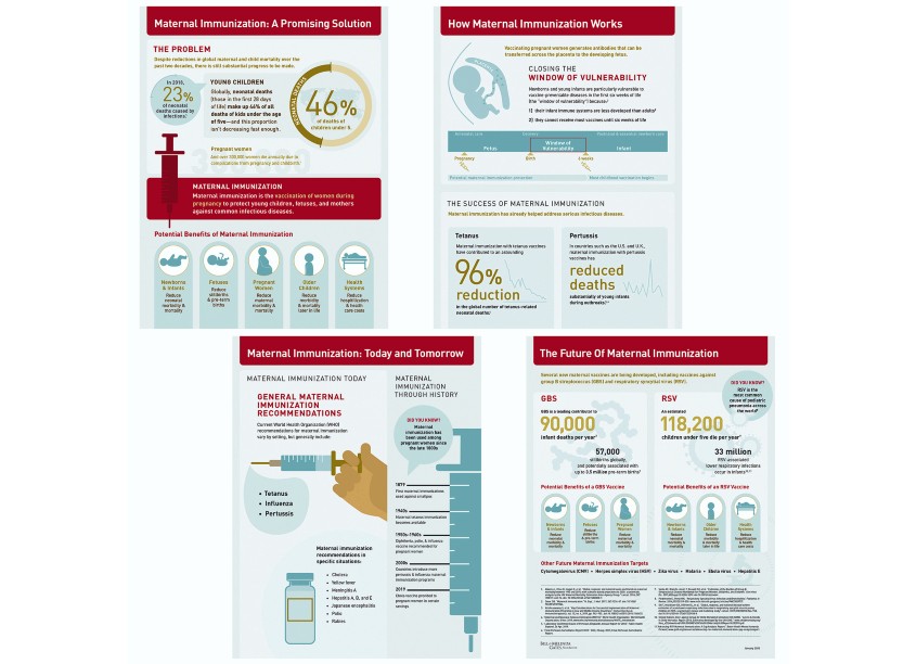 Black Graphics Maternal Immunization Infographics