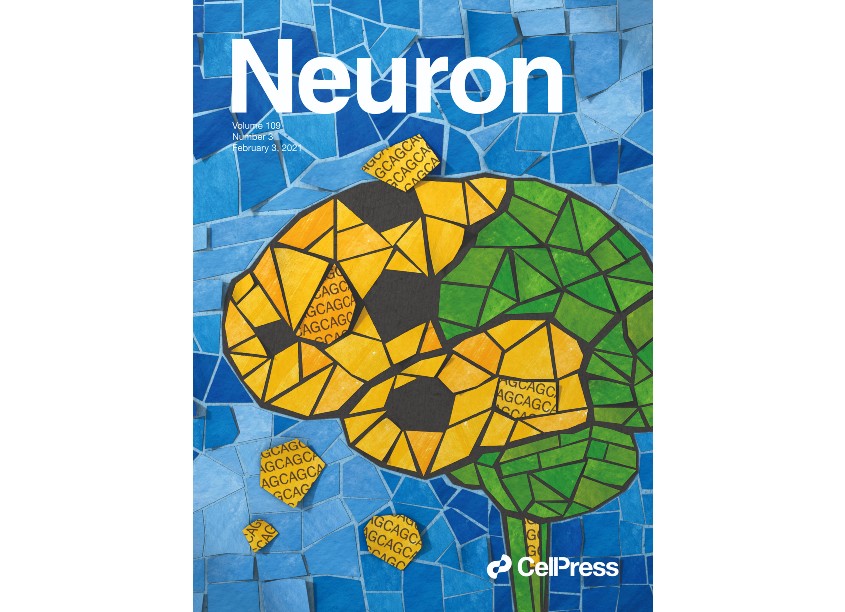 SARS-CoV-2 Revealed, Neuron Cover, February 3, 2021 by National Institutes of Health | NIH Medical Arts Branch